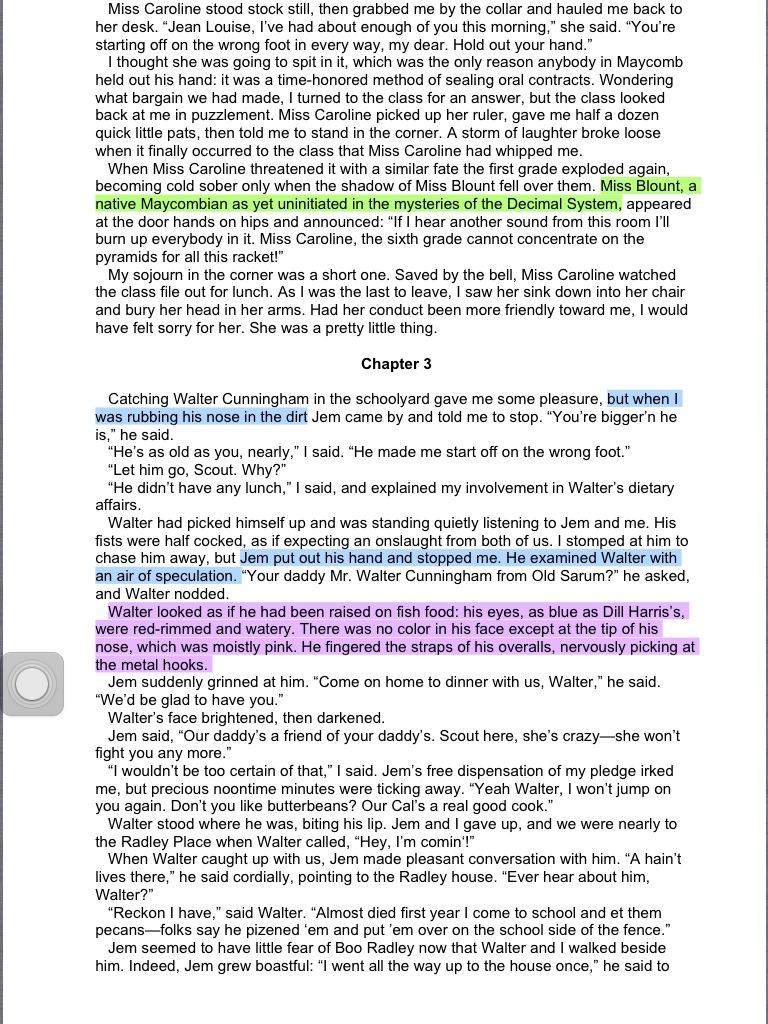 to kill a mockingbird chapter 13 annotations